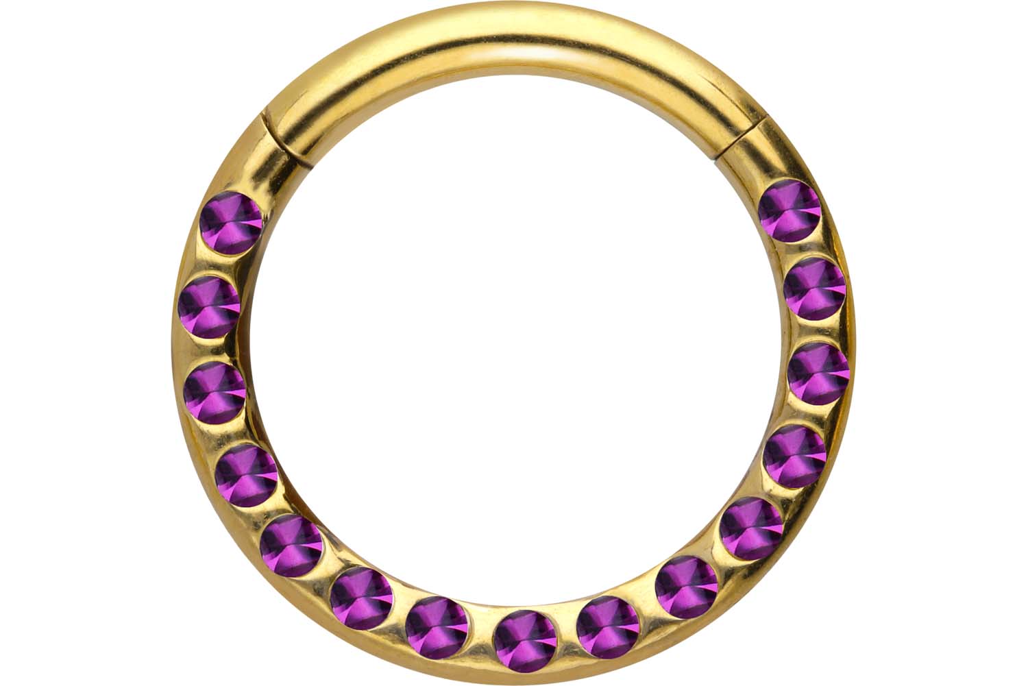 Chirurgenstahl Segmentring Clicker Piercing KRISTALLE + EPOXY ++SALE++